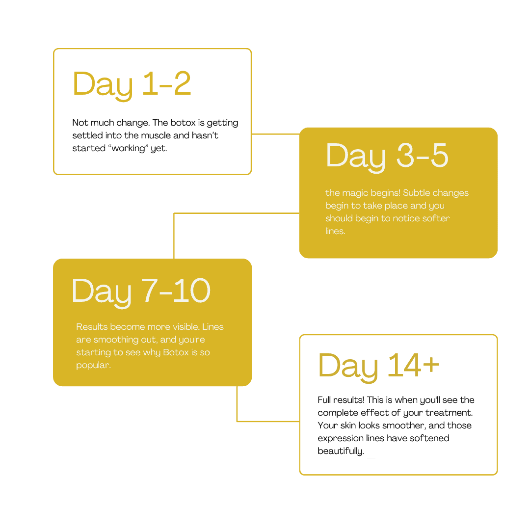 Botox results timeline: days 1-14 detailed.